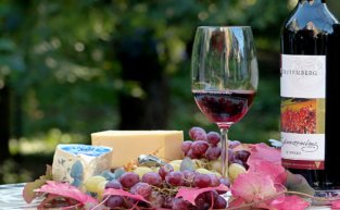 Petiscos e vinhos: uma combinação perfeita!