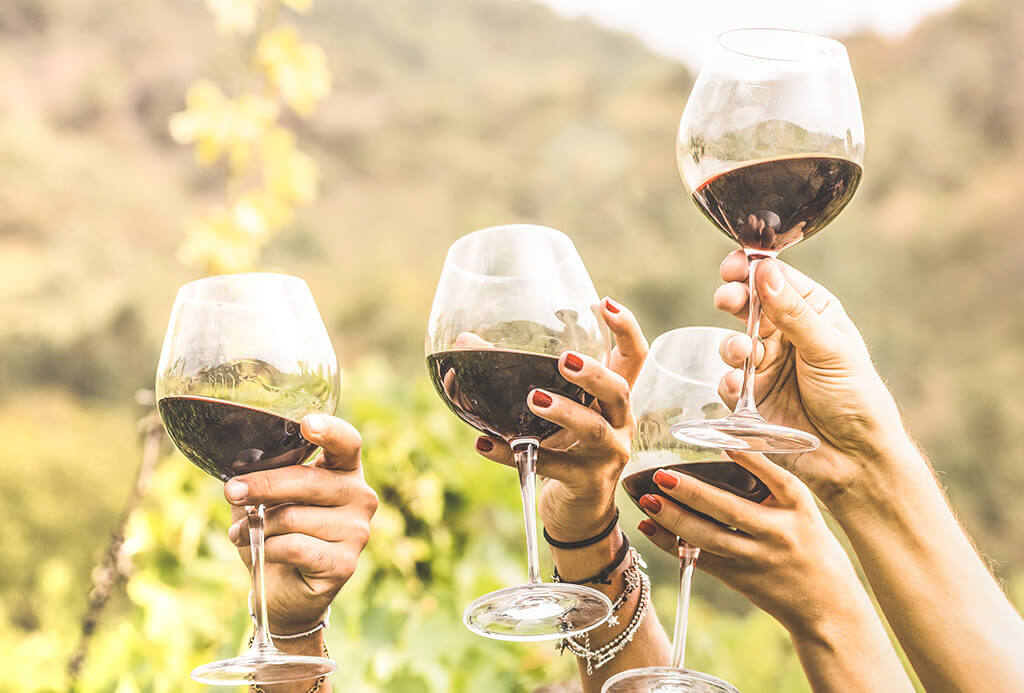 Festas do vinho: Dia do vinho