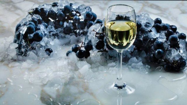 Ice Wine: o vinho feito em baixas temperaturas