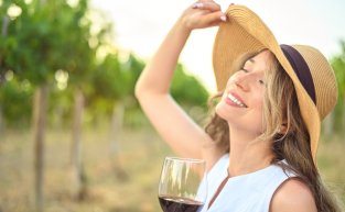 Rota dos vinhos: experiências para os amantes de vinhos