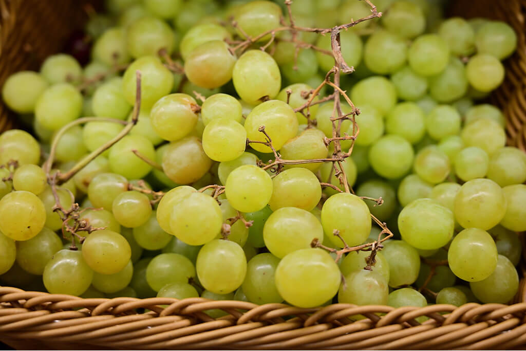 Uva-branca que produz vinho laranja